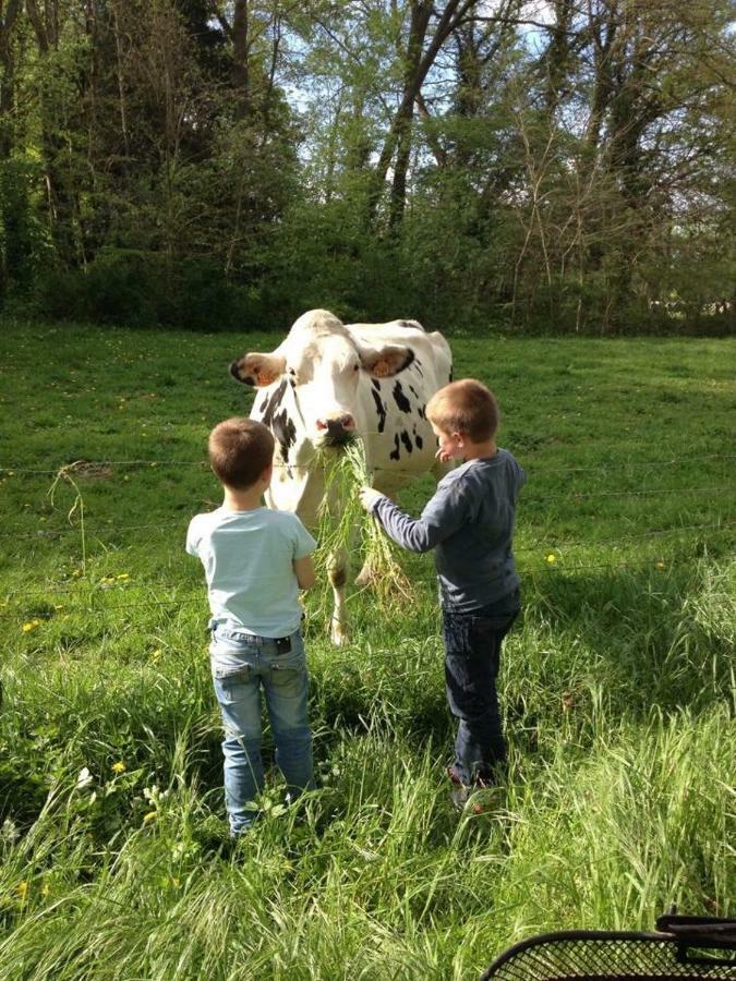 Appartamento Le Petit Bailleux Braine Esterno foto
